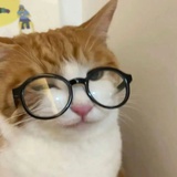 你也喜欢薄巧吗