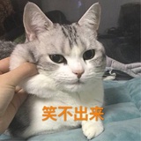 安妮