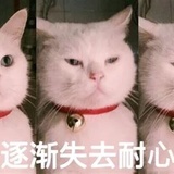哈咯呀