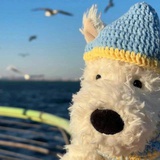 努力生活的丁丁