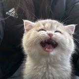 长争