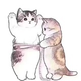 俗