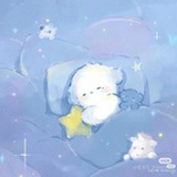 猫粮