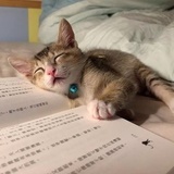 热爱生活的蹄蹄