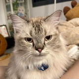 abby0802