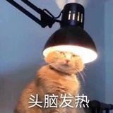 bblbb