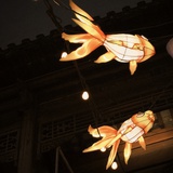 lulu啦噜噜