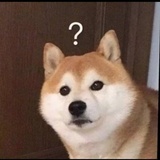 猪皮冻