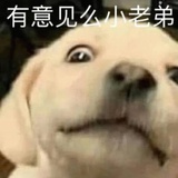 好想喝果茶