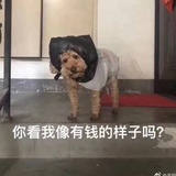 万万没想到哇