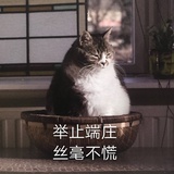 炫个沙糖桔