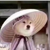 阿叶