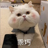 纯纯纯
