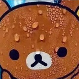 破碎的心