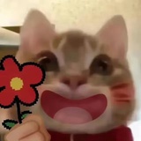 不要天天搞黄