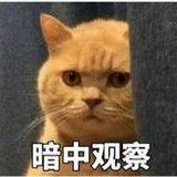 清秋冥月