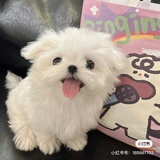 呵呵呵呵呵呵