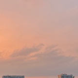 甲乙饼