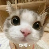 mono