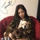 无情豆友