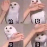 受伤的芦苇