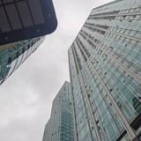 一条鱼