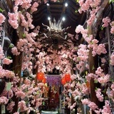 井壶仙酒文化