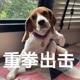 嘴巴很馋
