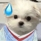三七二十一