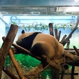 瓜好吃