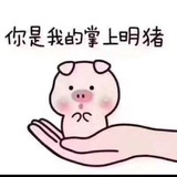 亲亲宝贝
