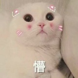 一眼定情|