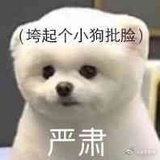 啊啊啊穿个马甲
