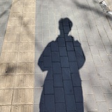 是停停呀