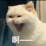 ^_^^_^