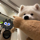 打翻了可乐