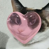 大宝儿 Vanessa