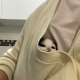 坂本爱诚