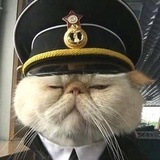 专撕药托