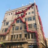 小鹿丸子