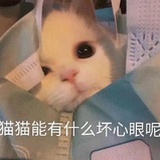 快乐冲浪每一天