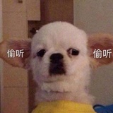 你爹