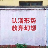 亲爱的小鸽几