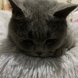 ki宝