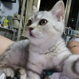 时光飞逝