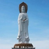 海-憨憨