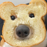 玉米派