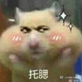 呦呦酱