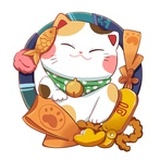 局猫理财星球