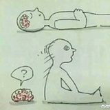 糊坛瓜友
